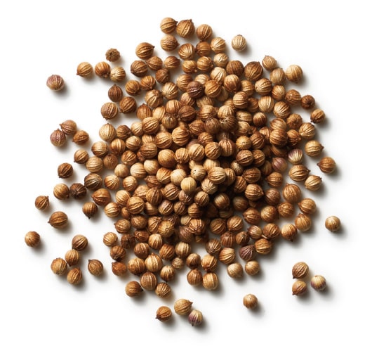 コリアンダーの写真