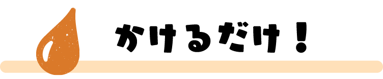 かけるだけ!