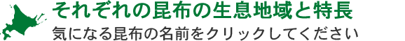 それぞれの昆布の生息地域と特長