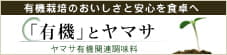 ヤマサ有機丸大豆の吟選しょうゆ