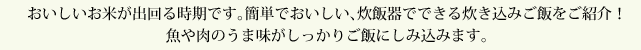 おいしいお米が出回る時期です。簡単でおいしい、炊飯器でできる炊き込みご飯をご紹介！魚や肉のうま味がしっかりご飯にしみ込みます。