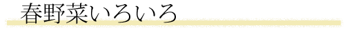 春野菜いろいろ
